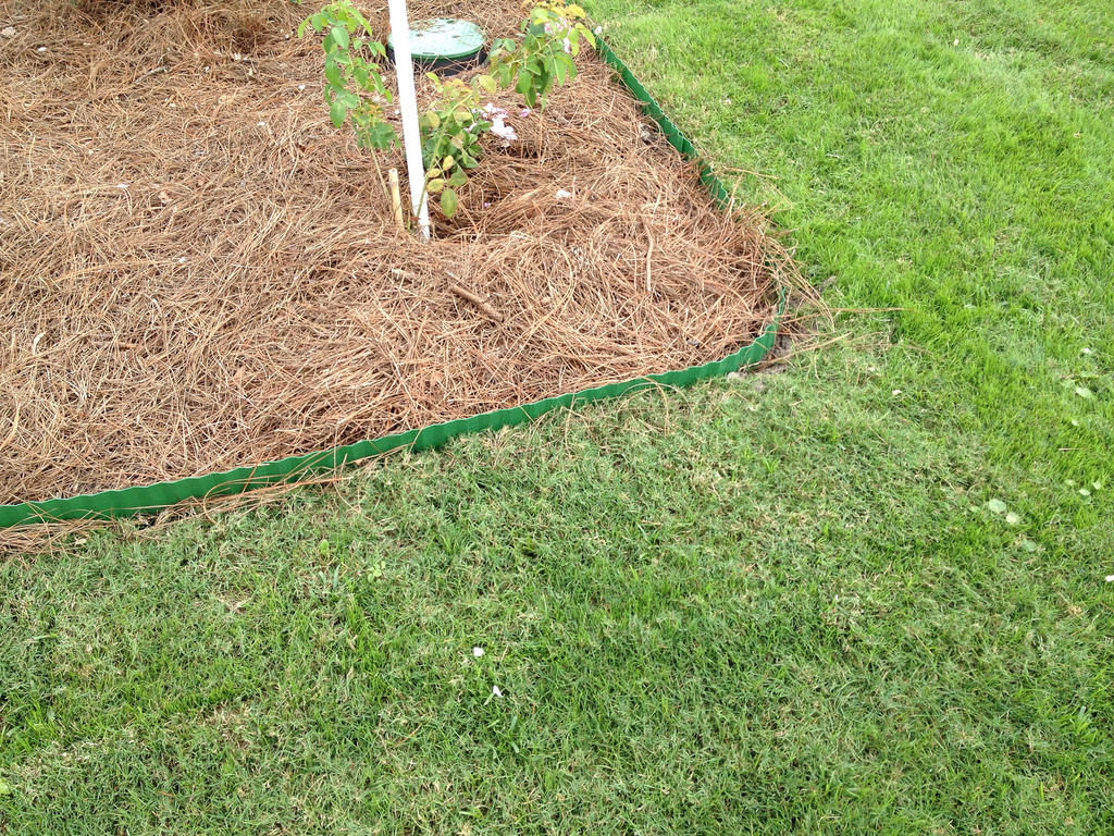 Garden Landscaping